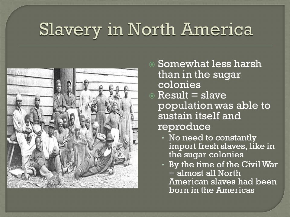  Somewhat less harsh than in the sugar colonies  Result = slave population was able to sustain itself and reproduce No need to constantly import fresh slaves, like in the sugar colonies By the time of the Civil War = almost all North American slaves had been born in the Americas