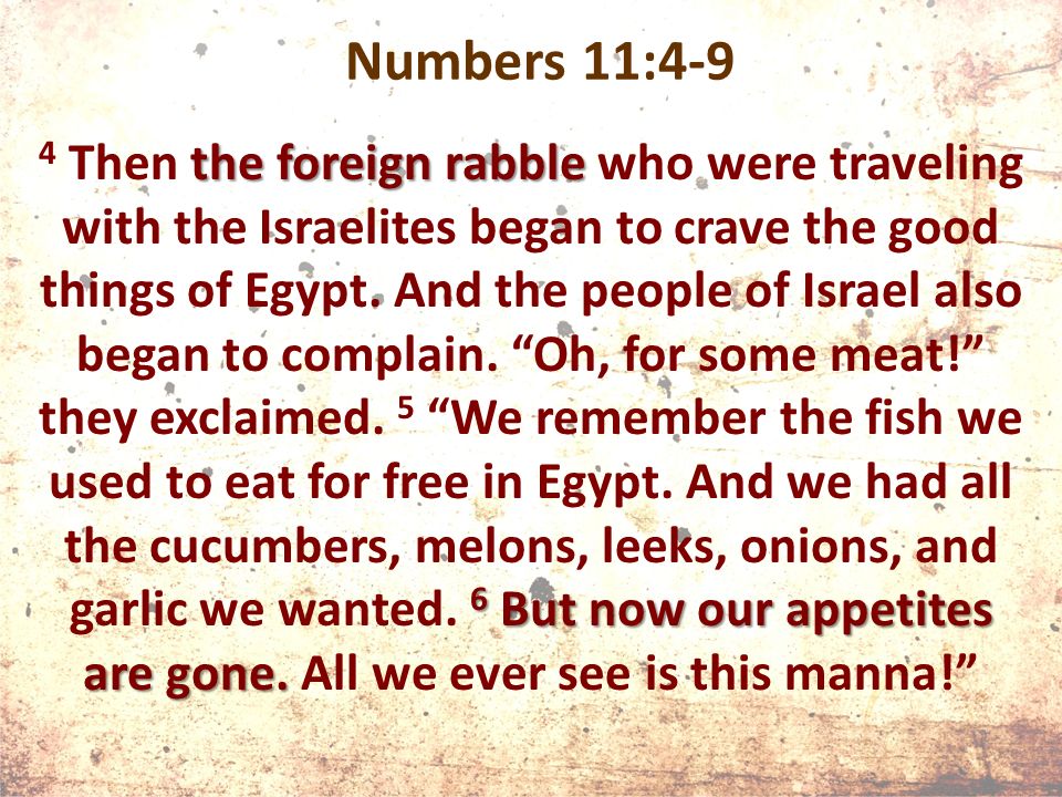 Numbers 11:4-9 the foreign rabble 6 But now our appetites are gone.