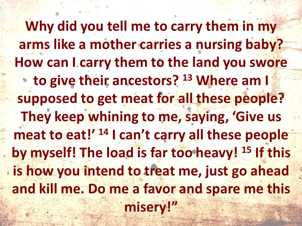 Why did you tell me to carry them in my arms like a mother carries a nursing baby.