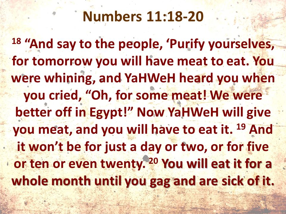 Numbers 11:18-20 You will eat it for a whole month until you gag and are sick of it.