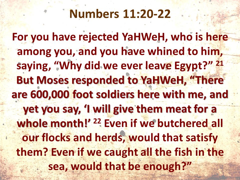 Numbers 11:20-22 But Moses responded to YaHWeH, There are 600,000 foot soldiers here with me, and yet you say, ‘I will give them meat for a whole month!’ For you have rejected YaHWeH, who is here among you, and you have whined to him, saying, Why did we ever leave Egypt 21 But Moses responded to YaHWeH, There are 600,000 foot soldiers here with me, and yet you say, ‘I will give them meat for a whole month!’ 22 Even if we butchered all our flocks and herds, would that satisfy them.