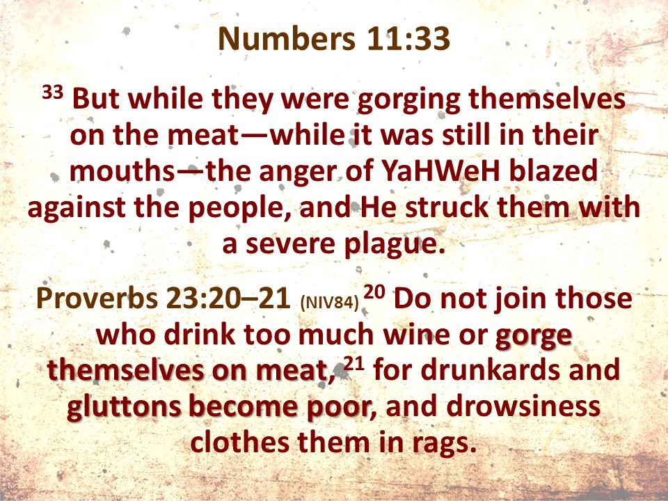 Numbers 11:33 33 But while they were gorging themselves on the meat—while it was still in their mouths—the anger of YaHWeH blazed against the people, and He struck them with a severe plague.