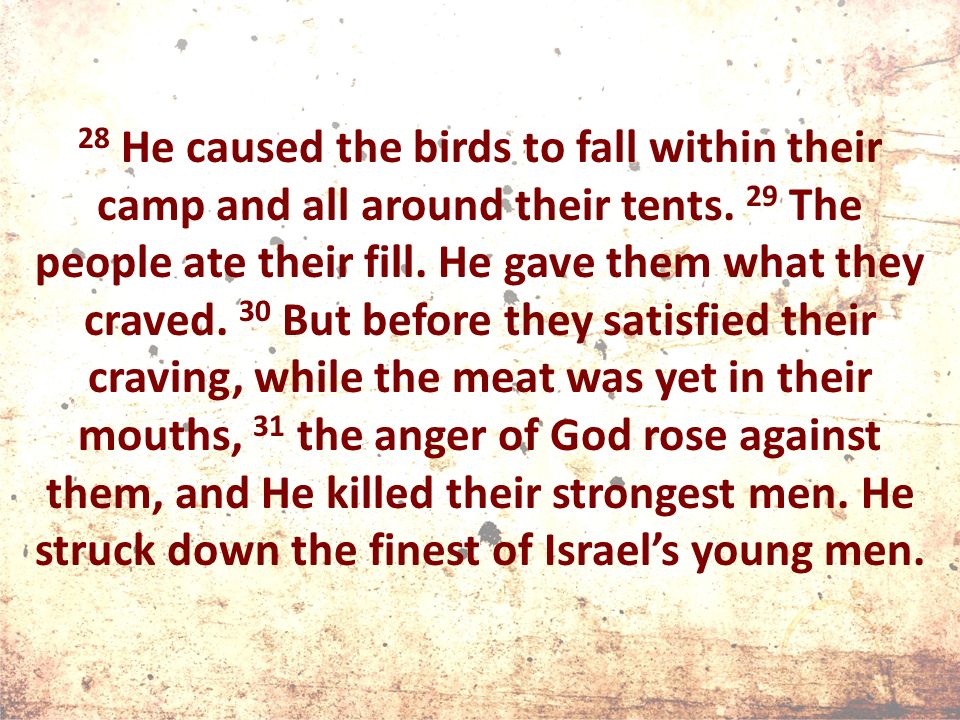28 He caused the birds to fall within their camp and all around their tents.