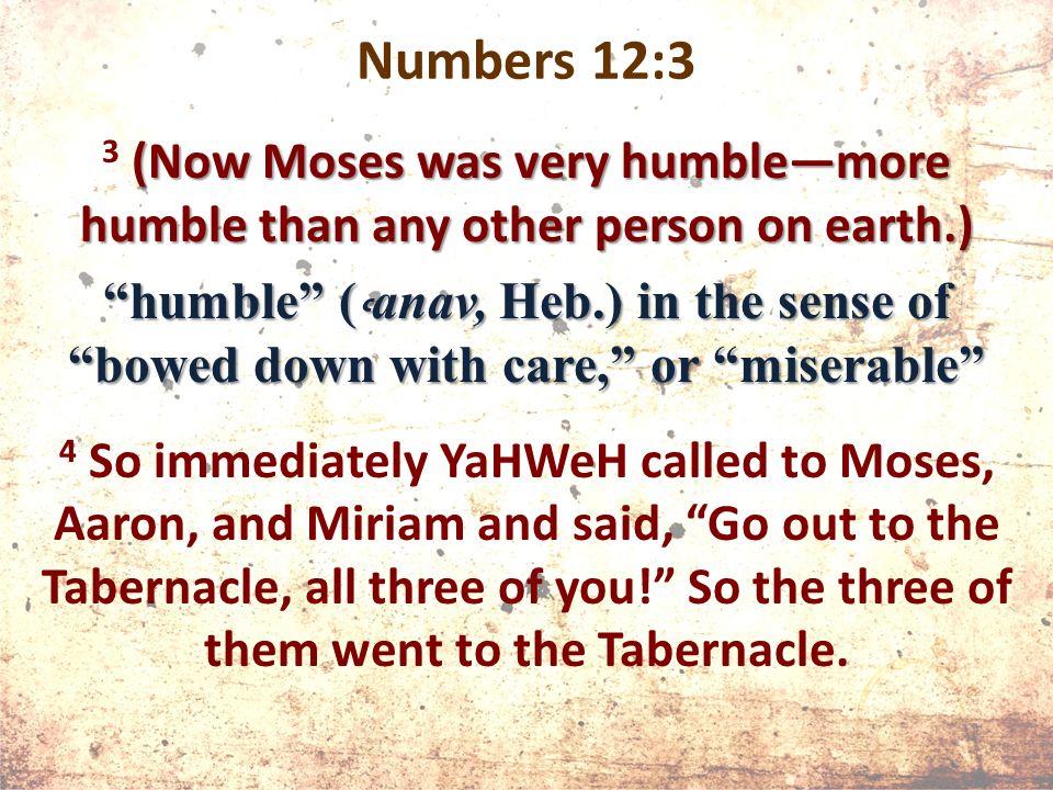 Numbers 12:3 (Now Moses was very humble—more humble than any other person on earth.) 3 (Now Moses was very humble—more humble than any other person on earth.) humble ( ˓ anav, Heb.) in the sense of bowed down with care, or miserable 4 So immediately YaHWeH called to Moses, Aaron, and Miriam and said, Go out to the Tabernacle, all three of you! So the three of them went to the Tabernacle.