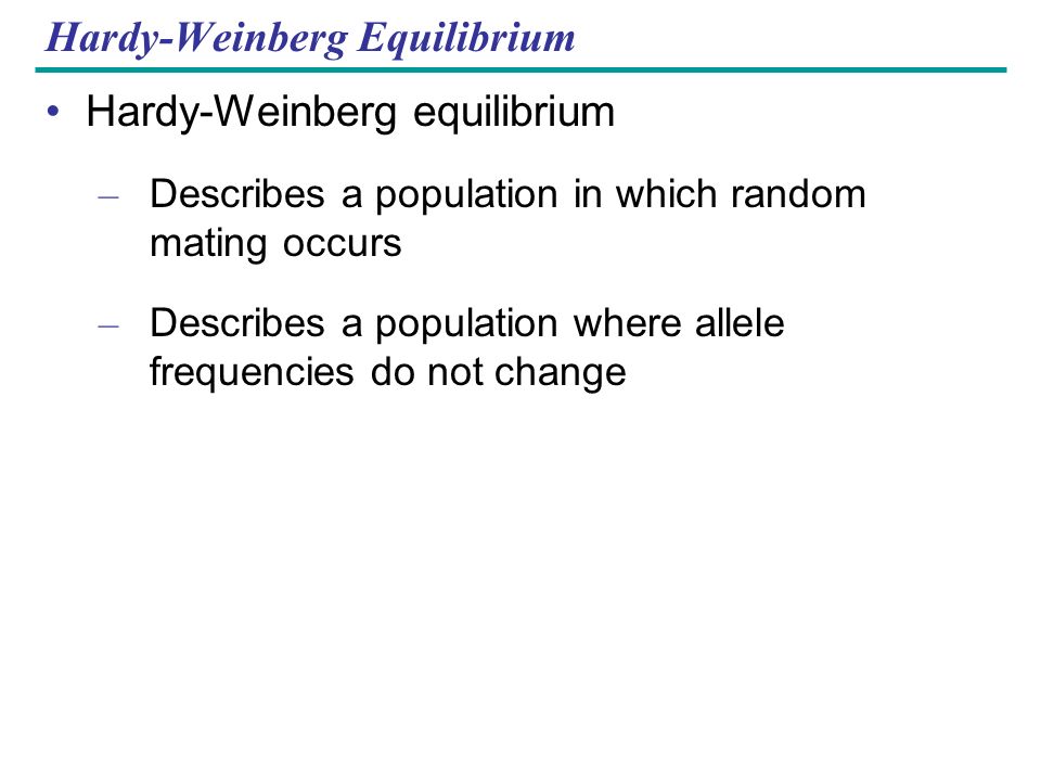 Hardy-Weinberg Equilibrium Hardy-Weinberg equilibrium – Describes a population in which random mating occurs – Describes a population where allele frequencies do not change