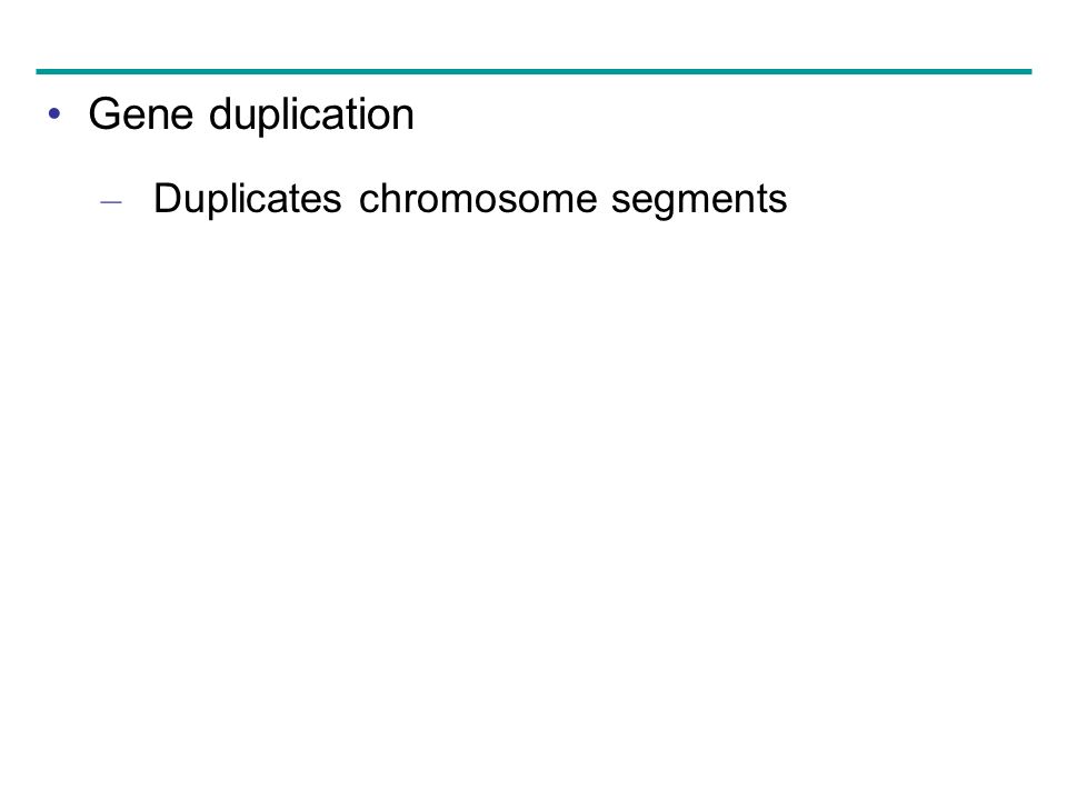 Gene duplication – Duplicates chromosome segments