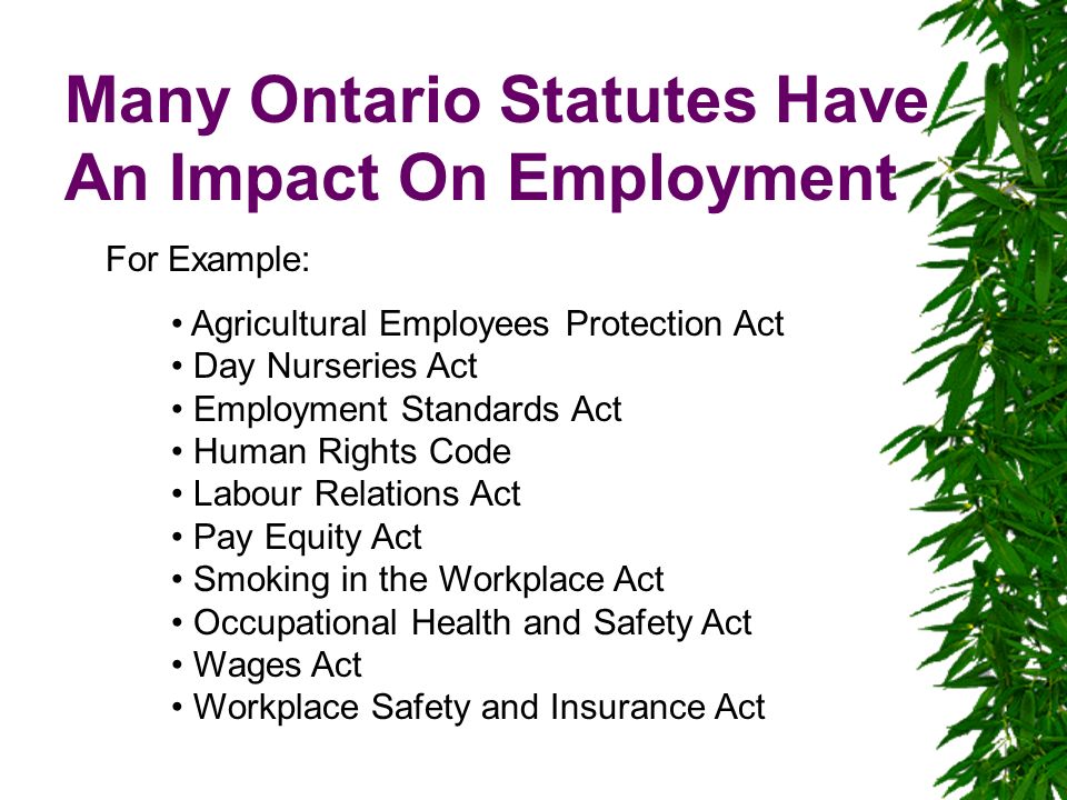 Employment Law Basics Thursday September 23 Ppt 3 Many