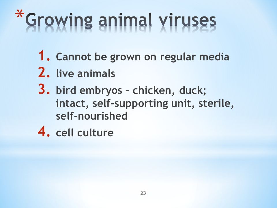 23 1. Cannot be grown on regular media 2. live animals 3.