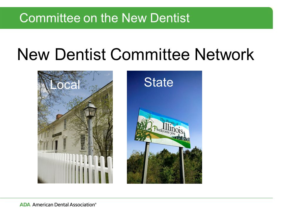 Committee on the New Dentist New Dentist Committee Network Local State