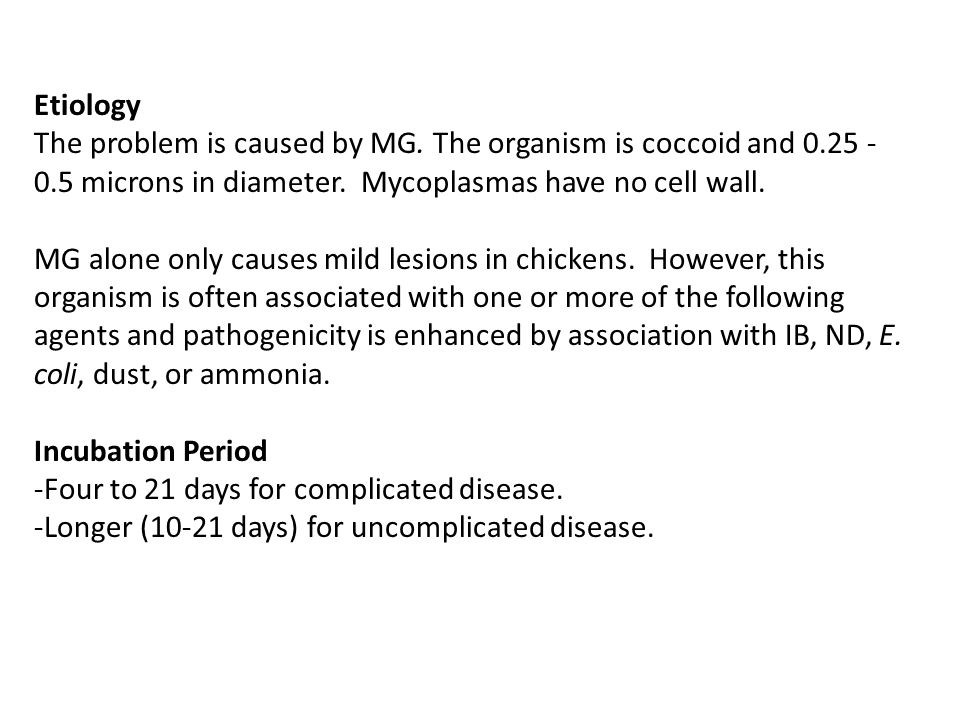 Etiology The problem is caused by MG. The organism is coccoid and microns in diameter.