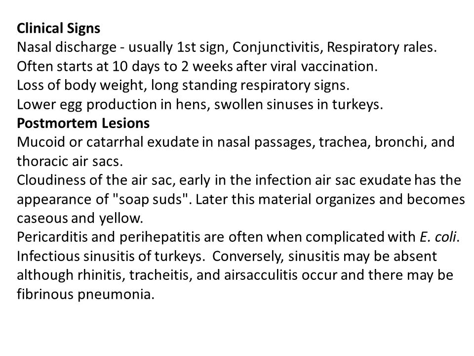 Clinical Signs Nasal discharge - usually 1st sign, Conjunctivitis, Respiratory rales.