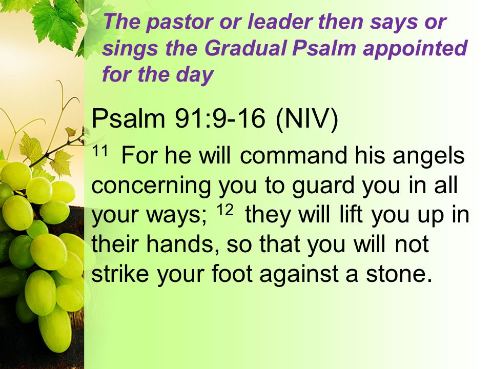 The pastor or leader then says or sings the Gradual Psalm appointed for the day Psalm 91:9-16 (NIV) 11 For he will command his angels concerning you to guard you in all your ways; 12 they will lift you up in their hands, so that you will not strike your foot against a stone.