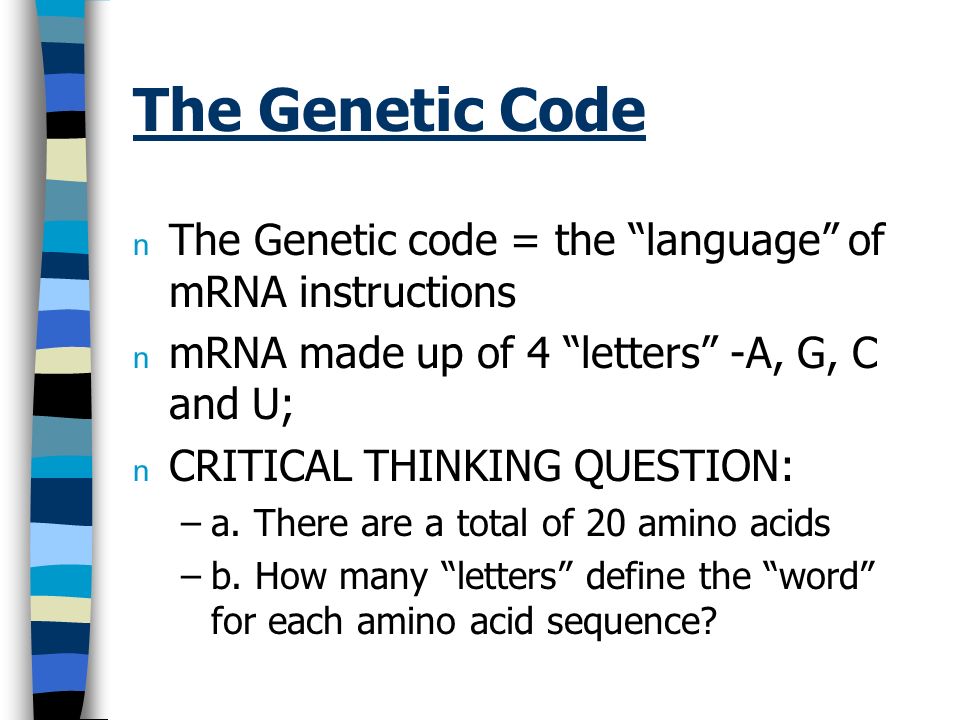 RNA and Protein Synthesis RNA Structure n Like DNA Nucleic acid RNA and Protein Synthesis RNA Structure n Like DNA Nucleic acid