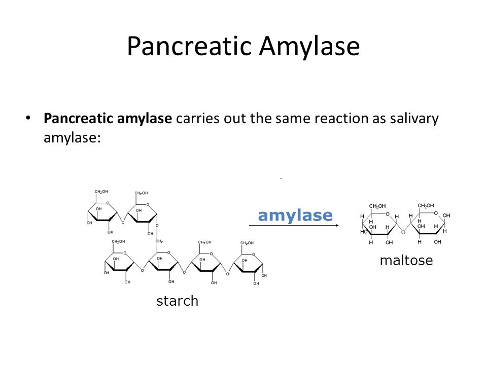 starch amylase reaction equation