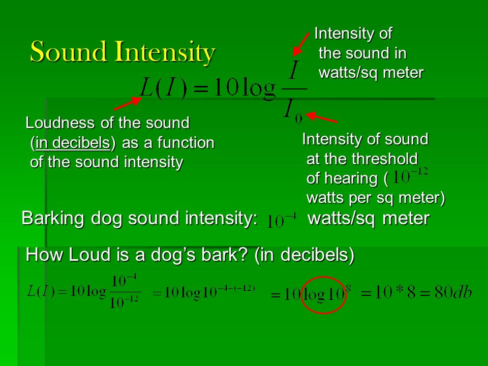 Barking dog sound intensity: watts/sq meter Sound Intensity Loudness of the sound (in decibels) as a function (in decibels) as a function of the sound intensity of the sound intensity Intensity of the sound in the sound in watts/sq meter watts/sq meter Intensity of sound at the threshold at the threshold of hearing ( of hearing ( watts per sq meter) watts per sq meter) How Loud is a dog’s bark.