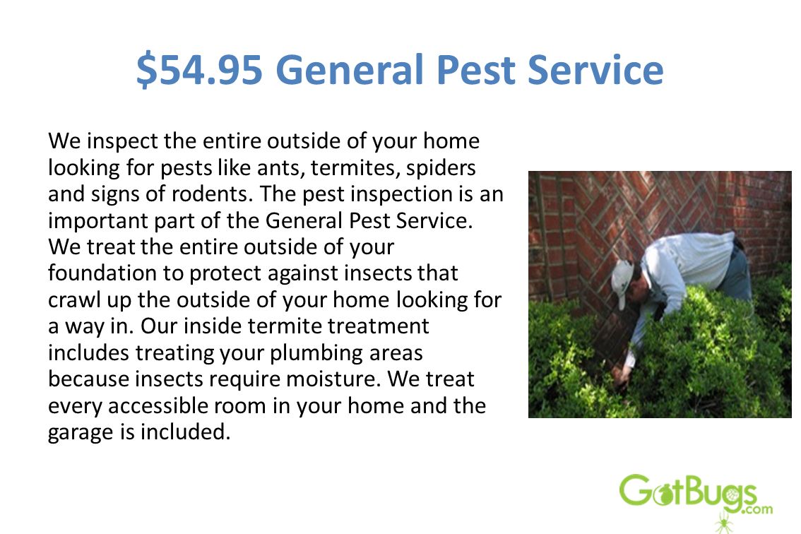$54.95 General Pest Service We inspect the entire outside of your home looking for pests like ants, termites, spiders and signs of rodents.