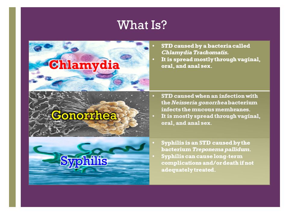 Sexually Transmitted Diseases Bacteria Chlamydia Gonorrhea