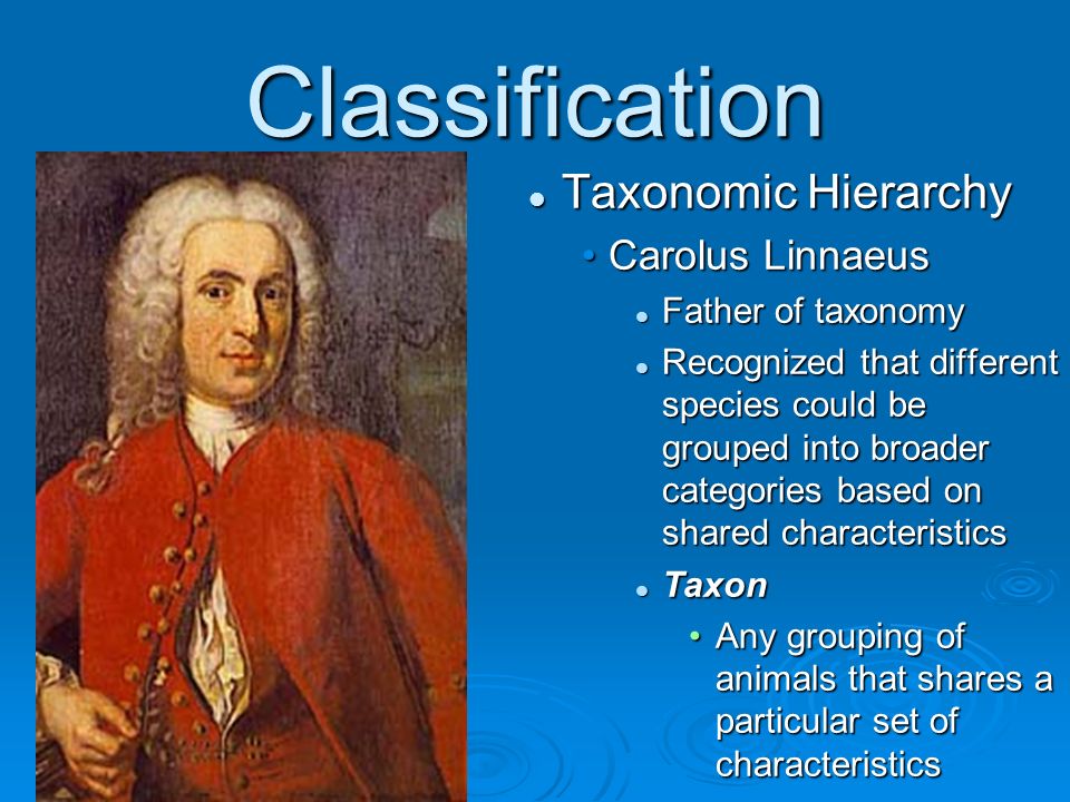 The Tree of Life Chapter 26. Linnaeus and Taxonomy  More than  million  species of animals are named Estimated that these account for Estimated  that. - ppt download