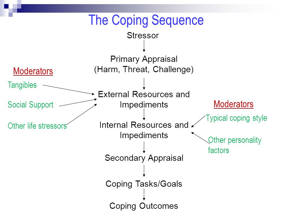 the coping sequence stressor primary appraisal harm threat primary appraisal
