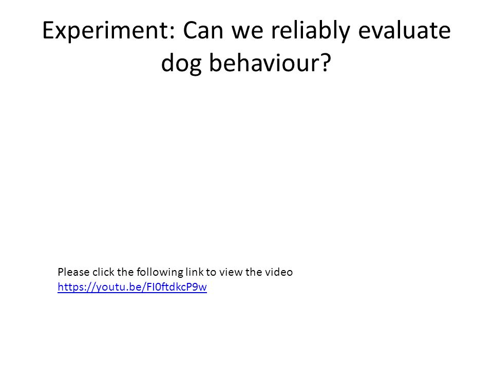 Experiment: Can we reliably evaluate dog behaviour.