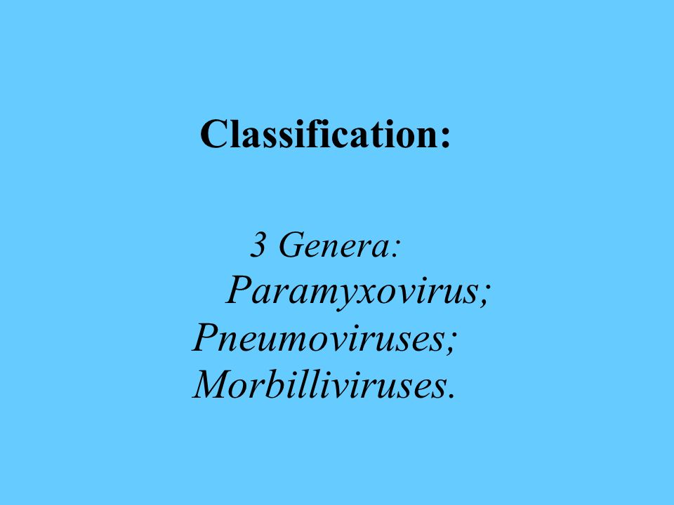 Classification: 3 Genera: Paramyxovirus; Pneumoviruses; Morbilliviruses.