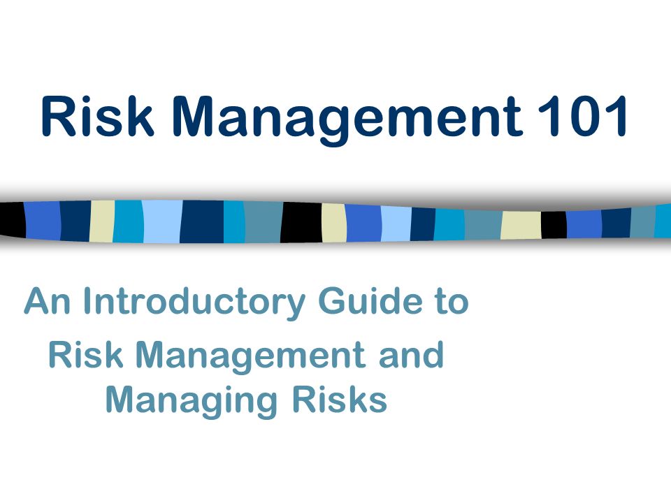 Risk Management 101 An Introductory Guide to Risk Management and Managing Risks