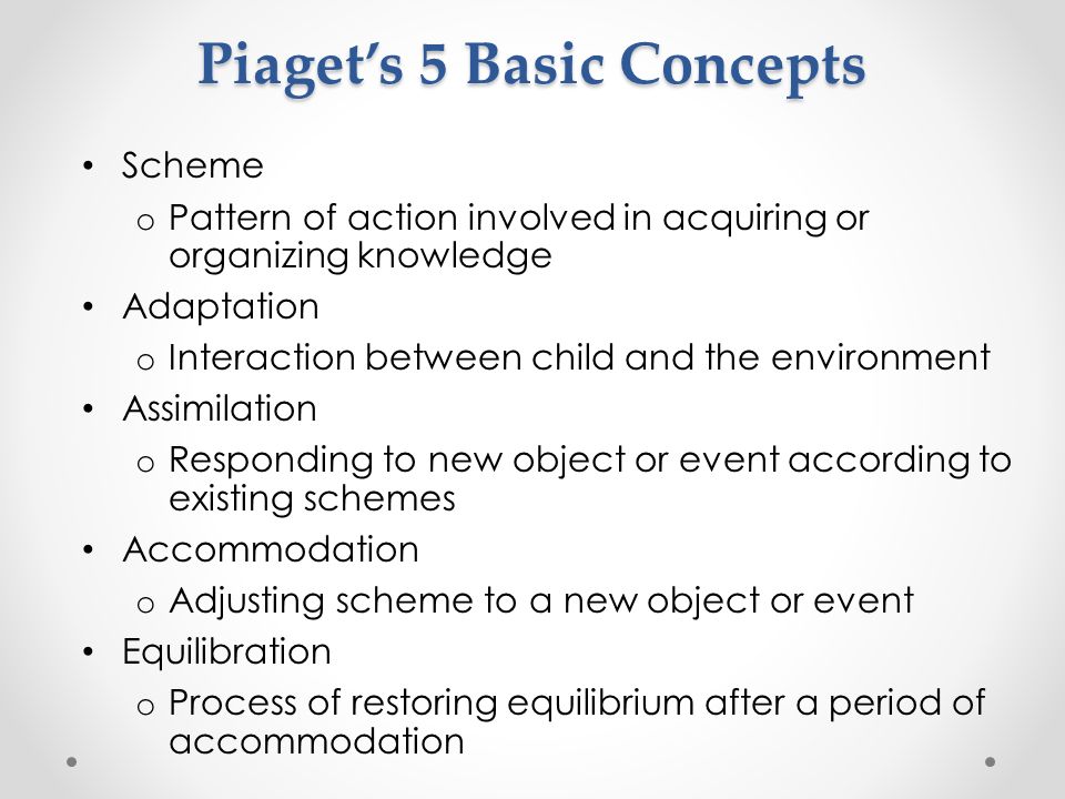 Piaget best sale key concepts