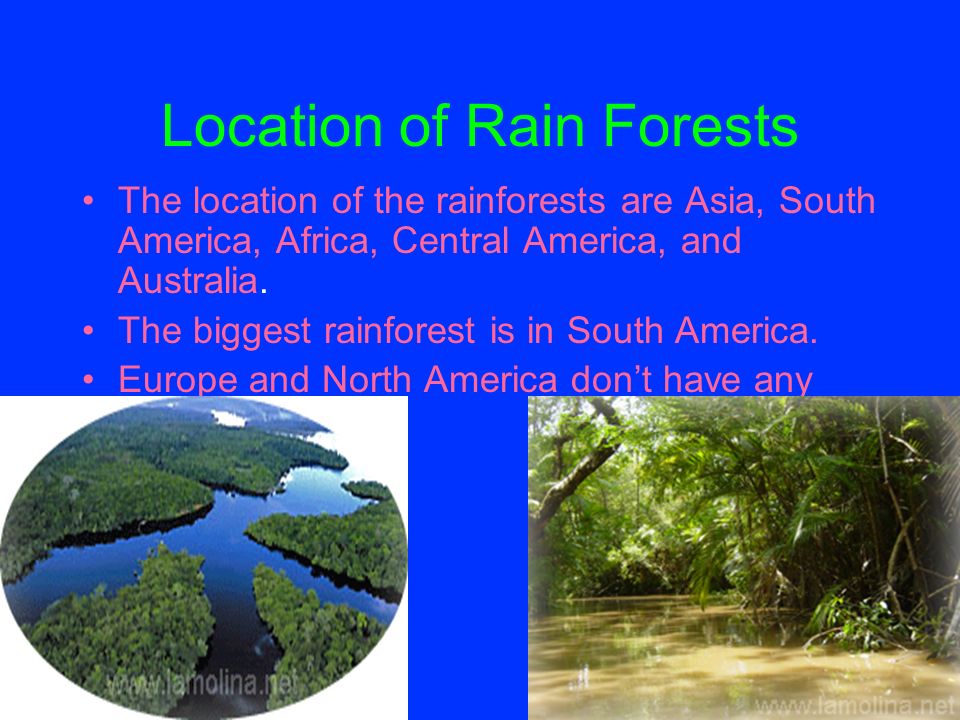 By Breauna Castelluccio And Noah Lopez Tropical Rainforests Ppt Download