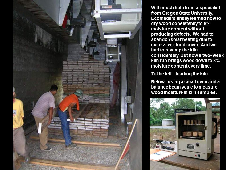 With much help from a specialist from Oregon State University, Ecomadera finally learned how to dry wood consistently to 8% moisture content without producing defects.