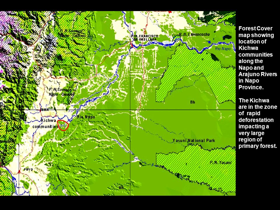Forest Cover map showing location of Kichwa communities along the Napo and Arajuno Rivers in Napo Province.