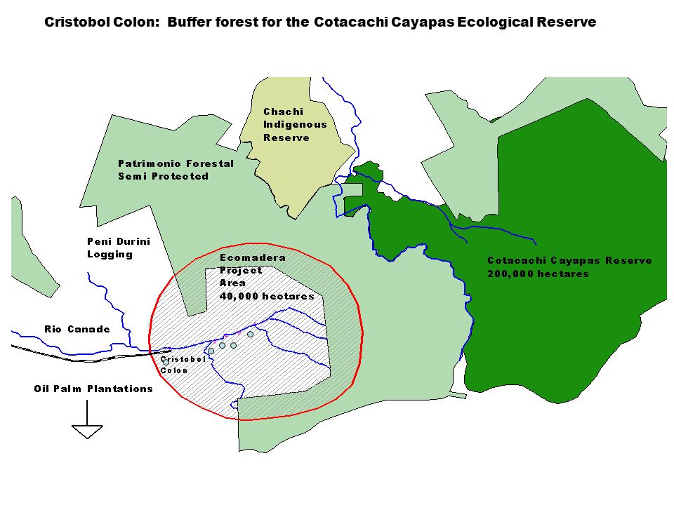 Cristobol Colon: Buffer forest for the Cotacachi Cayapas Ecological Reserve