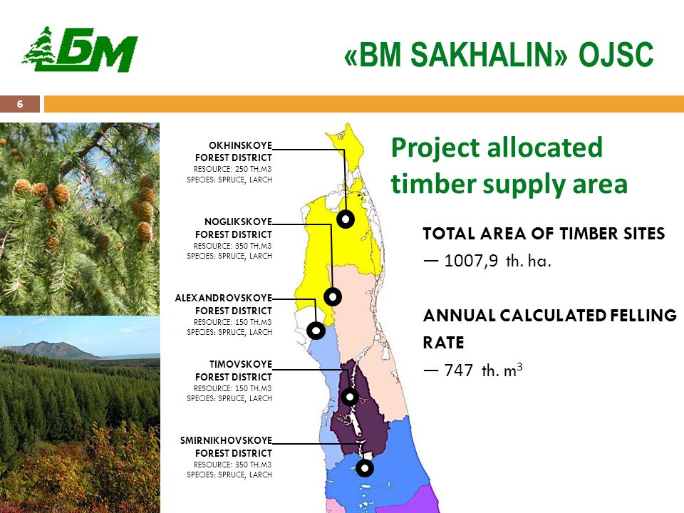 Project allocated timber supply area TOTAL AREA OF TIMBER SITES — 1007,9 th.