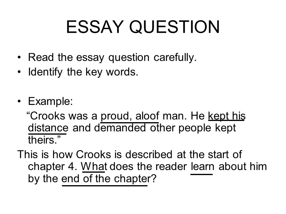 of mice and men essay questions