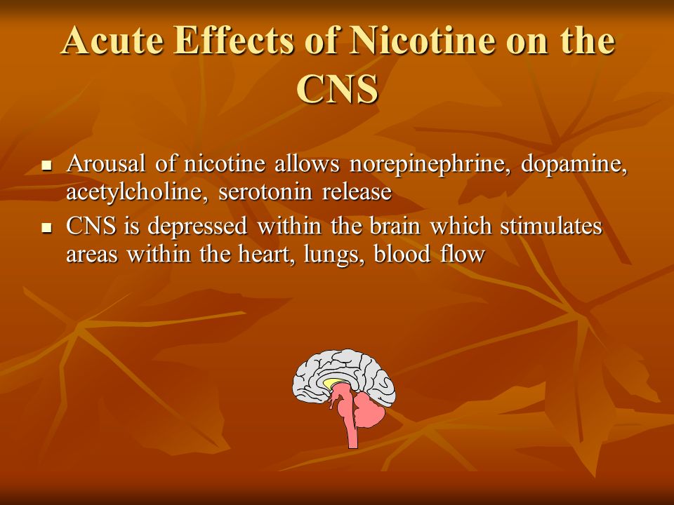 Theories of Nicotine Addiction Genetic theory – 60% of addiction is based upon this influence Genetic theory – 60% of addiction is based upon this influence Bolus theory – ball of nicotine reaches brain, causing excitement Bolus theory – ball of nicotine reaches brain, causing excitement Adrenocorticotropic hormone theory (ACTH) – release of beta endorphins delivers euphoric effect Adrenocorticotropic hormone theory (ACTH) – release of beta endorphins delivers euphoric effect Self-Medication theory – nicotine via dopamine lifts spirits Self-Medication theory – nicotine via dopamine lifts spirits