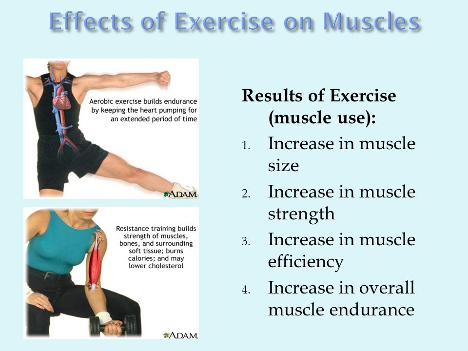 Results of Exercise (muscle use): 1. Increase in muscle size 2.