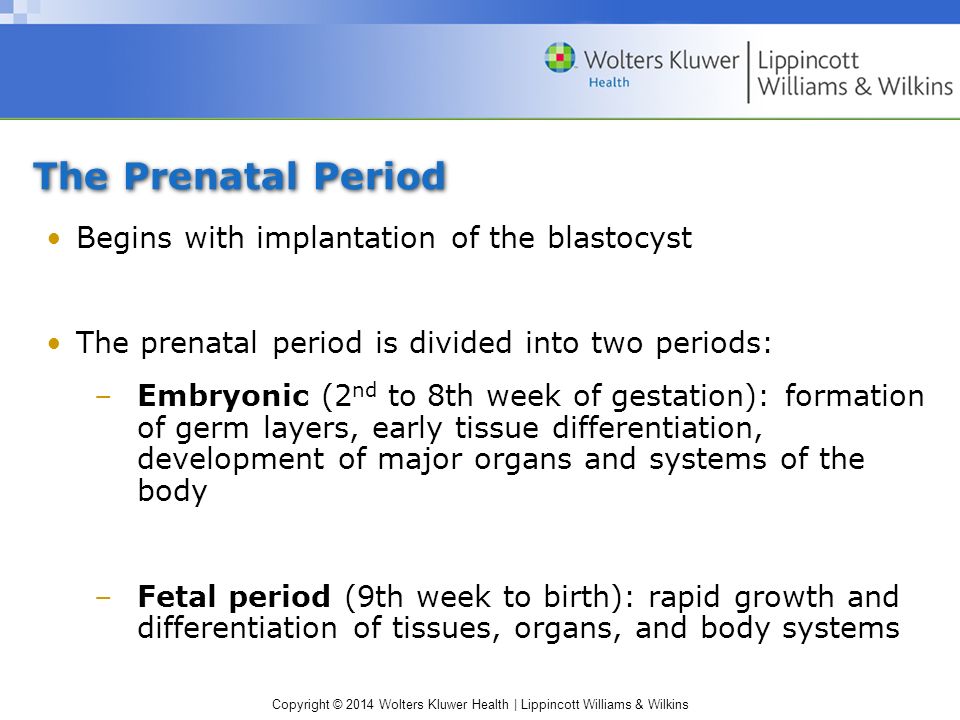 The Prenatal Period Is Divided Into Which Of The Following Copyright © 2014 Wolters Kluwer Health | Lippincott Williams & Wilkins