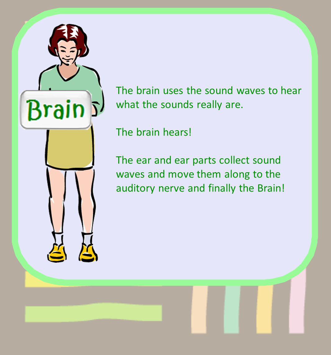 The brain uses the sound waves to hear what the sounds really are.