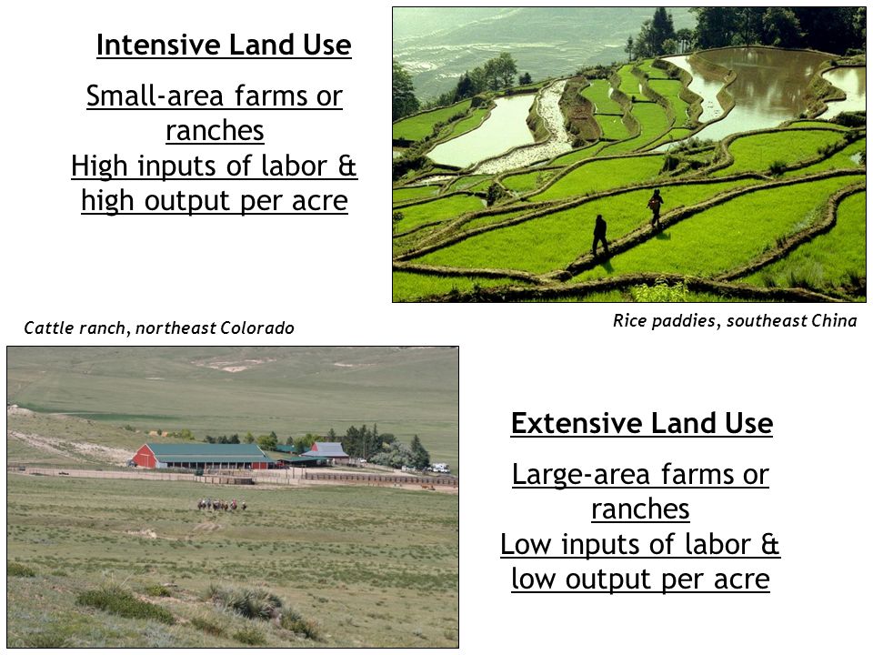 Is horticulture intensive or extensive land-use
