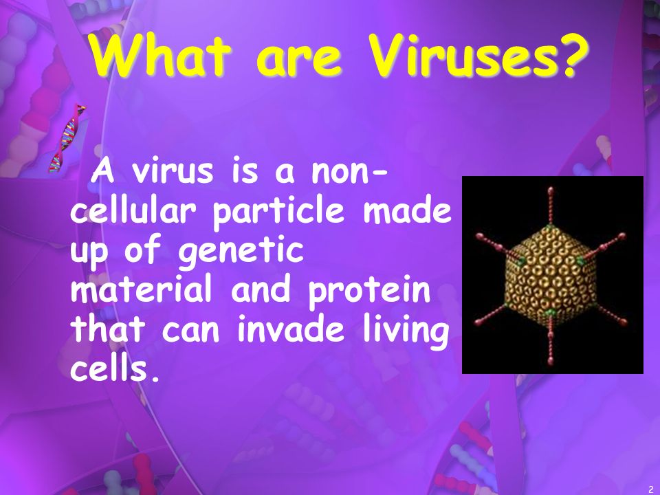1 Viruses (Latin for poison). 2 What are Viruses? A virus is a non- cellular particle made up of genetic material and protein that can invade living cells. - ppt download