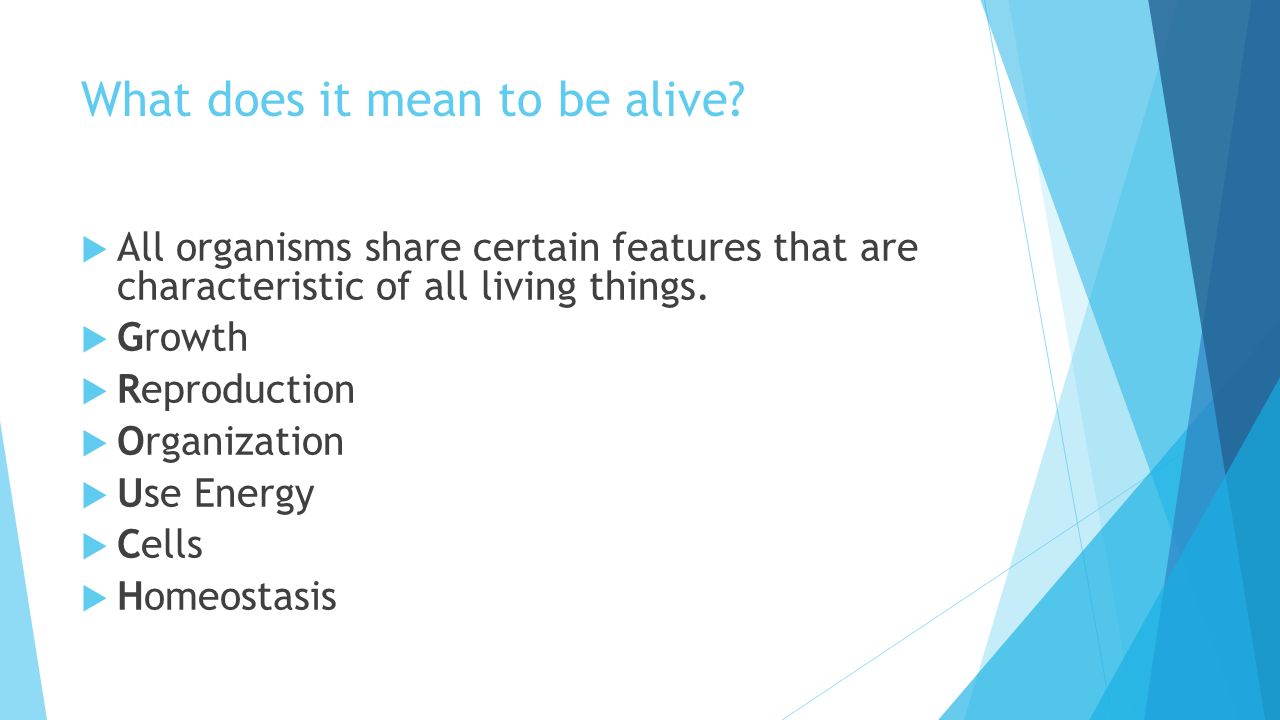Characteristics Of Life Section 1 2 Objectives List Six Characteristics Of Life Grouch Describe How A Living Thing Is Organized Ppt Download