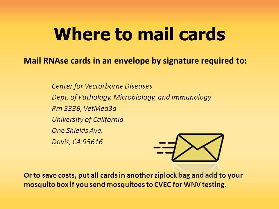 Where to mail cards Mail RNAse cards in an envelope by signature required to: Center for Vectorborne Diseases Dept.