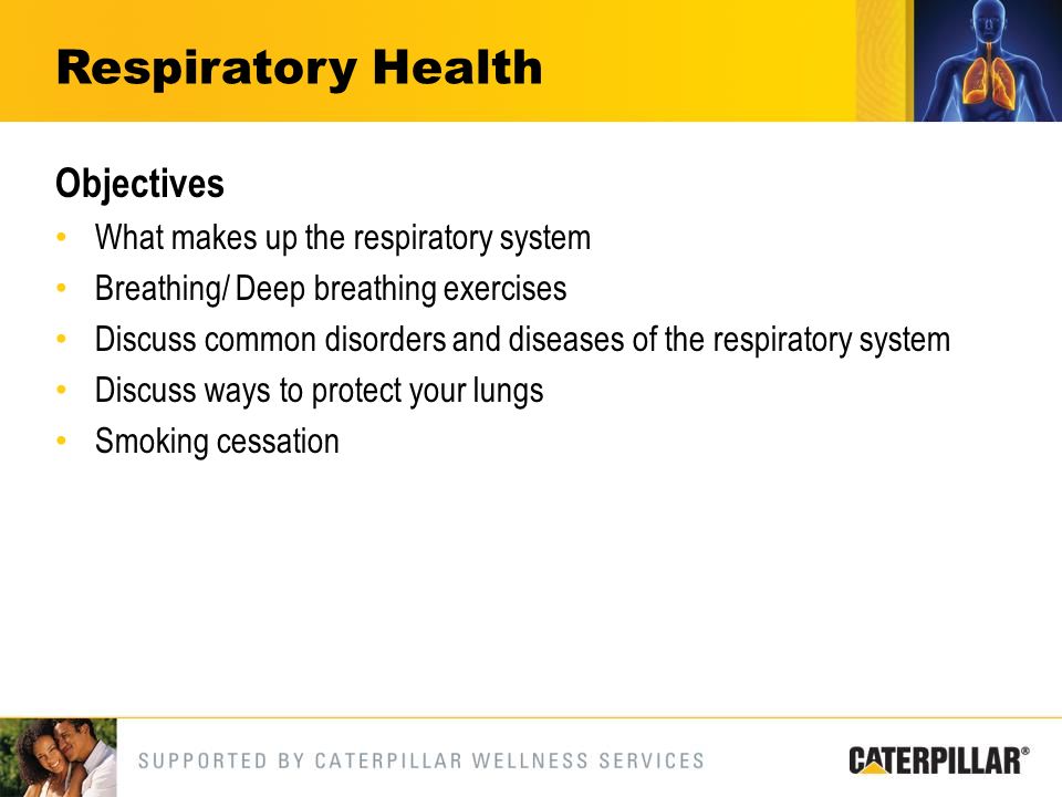 Objectives What makes up the respiratory system Breathing/ Deep breathing exercises Discuss common disorders and diseases of the respiratory system Discuss ways to protect your lungs Smoking cessation Respiratory Health