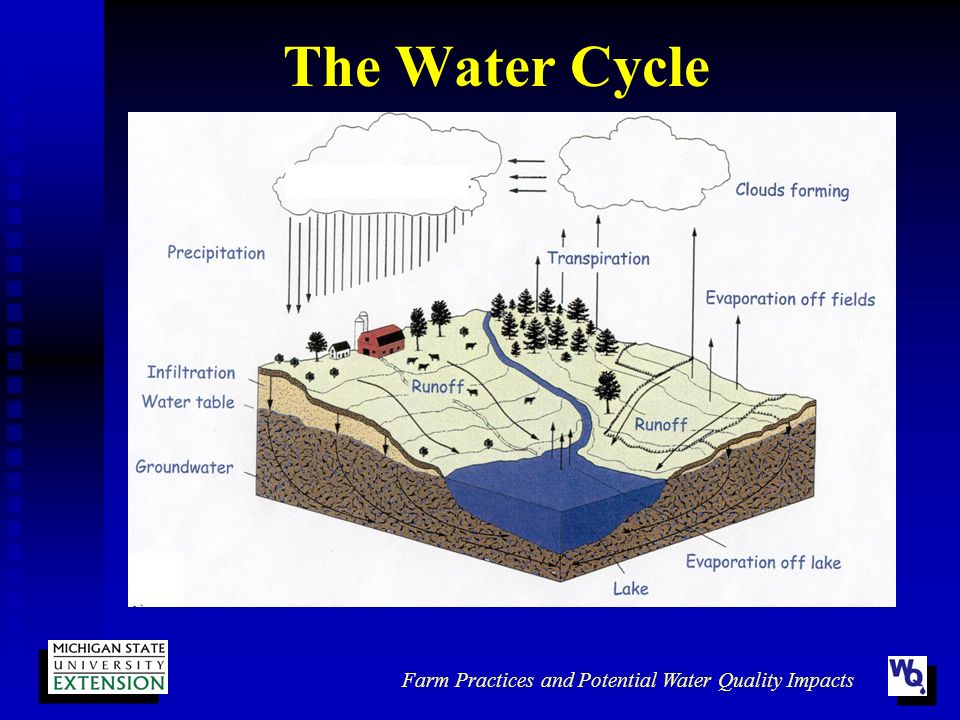 Farm Practices and Environmental Impacts Water Quality Area of ...