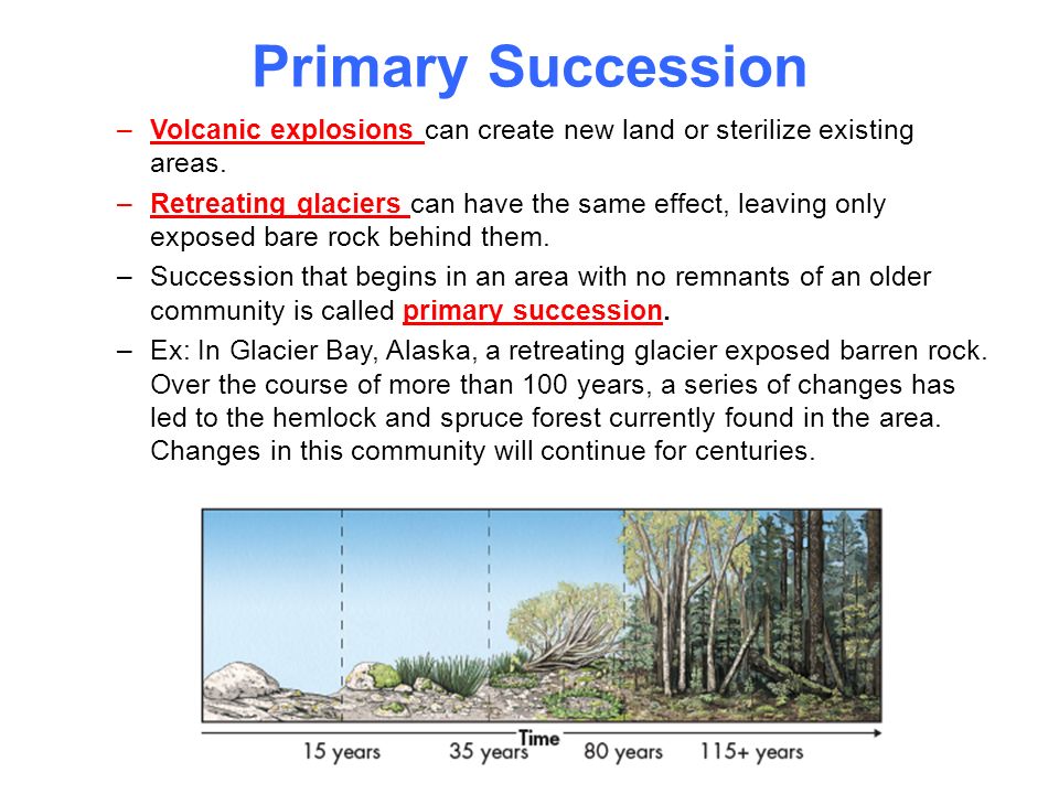4.3 Succession Chapter Succession Key Questions: 1)How do ...