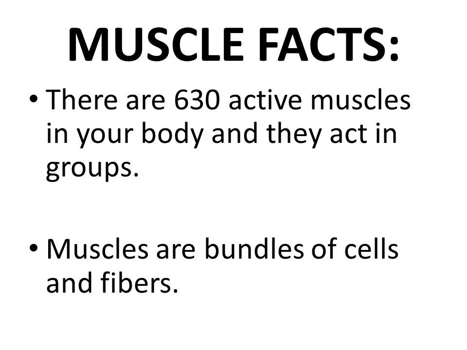 MUSCLE FACTS: There are 630 active muscles in your body and they act in groups.