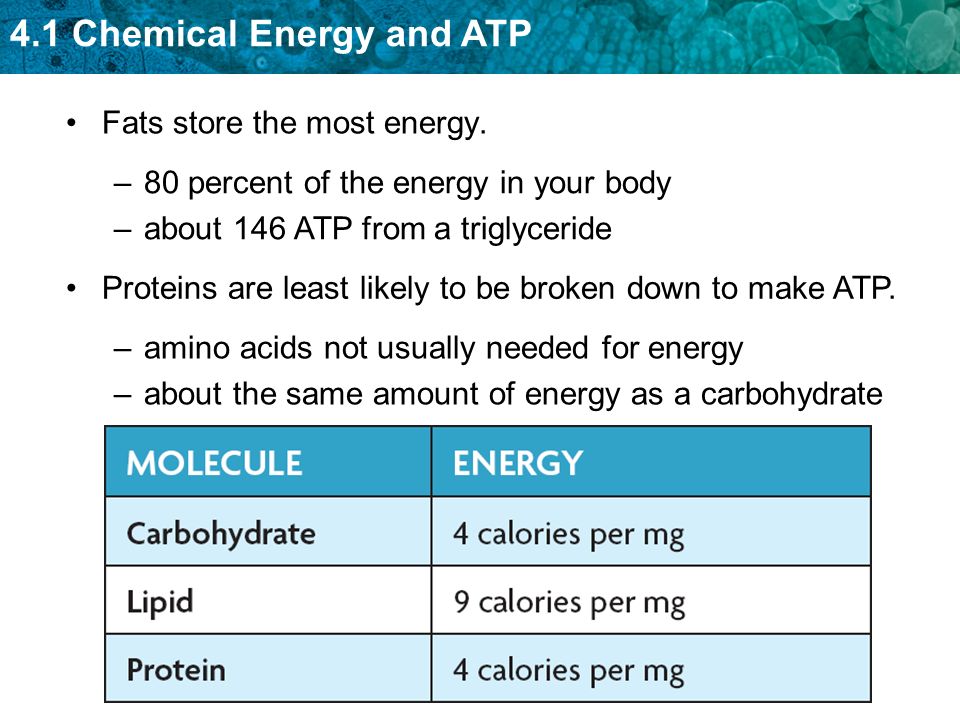 4 1 Chemical Energy And Atp Key Concept All Cells Need Chemical Energy Ppt Download