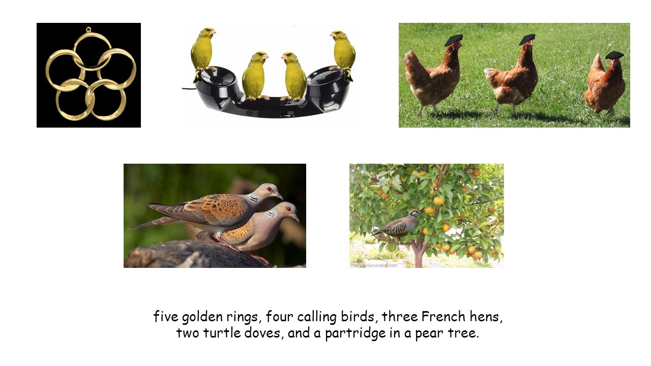 On the first day of Christmas my true love sent to me: one partridge in a  pear tree. - ppt download