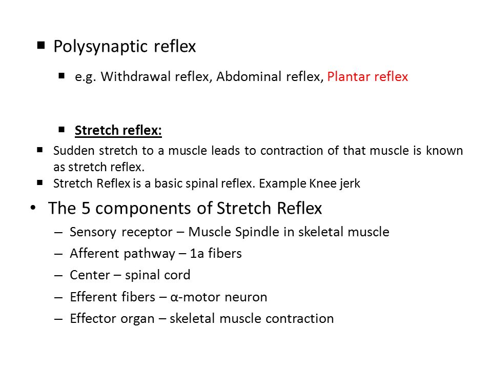 Physl important notes CNS Mid1. Lec1 Function of glial cells: 1 ...