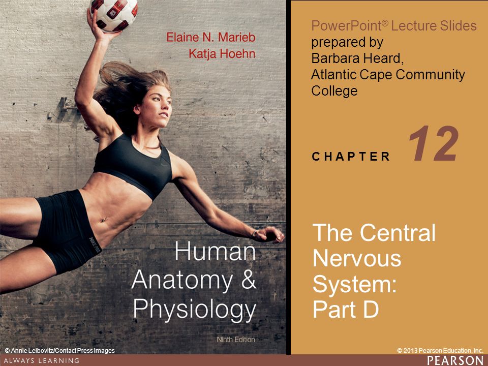 Human Anatomy Physiology Ninth Edition PowerPoint