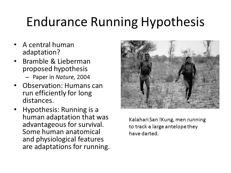 Anatomy Physiology of Locomotion Focus on Human Adaptation. - ppt download